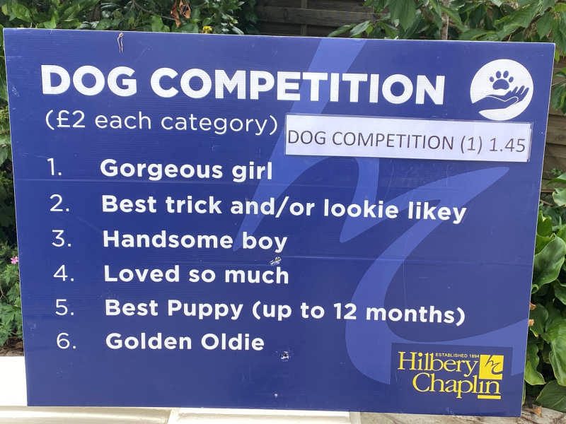 Dog Competition 1