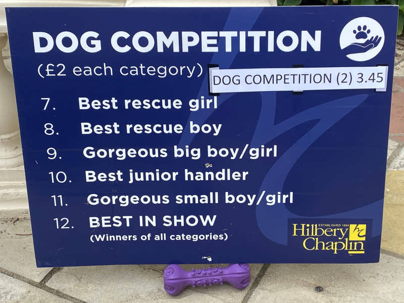Dog Competition 2
